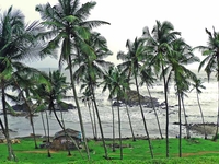 Best 4 Days Goan Fantasy Budget Deal Best 4 Days Goan Fantasy Budget Deal