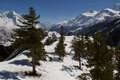  	Looking Back Towards Manaslu