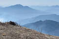 Misty Foothills - Poon Hill-Ghorepani Trek