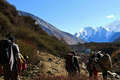 	Moving Through Langtang Valley
