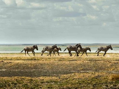 Sibiloi National Park, Kenya Social Travel Network Touristlink