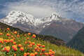 View Of The Annapurna South