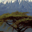 Kilimanjaroe Safarish Kilimanjaroe Safarish
