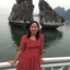 Hong Travel Hong Travel