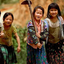 Vietnam Tonk Vietnam Tonk