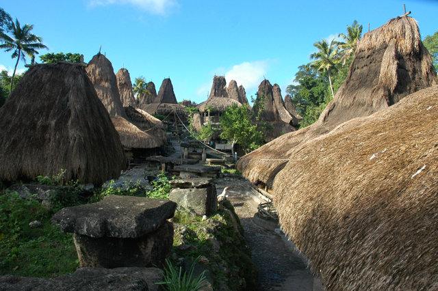 Ekspedisi Jakarta Sumbawa